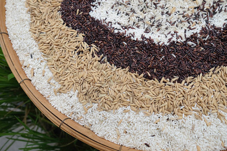 茉莉花米糙米红米黑米混合米和Riceb图片