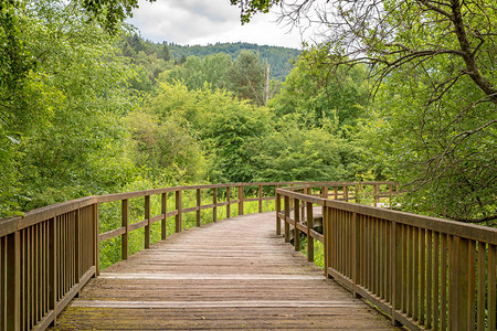 由木板搭建的桥梁在绿地上架设有树木图片