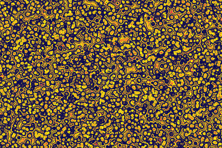 细菌胞的形状共角bacilli图片