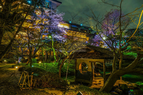 春天日本庭园的形象图片