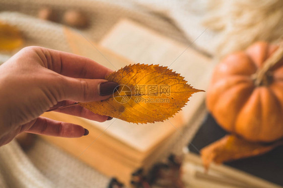 女人手里握着橙黄色秋叶用秋叶集中女图片