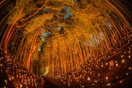 日式竹林公民城堡小桌边森林的背景