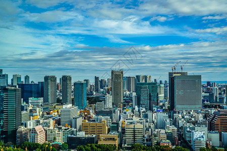 从东京塔展望台看到的东京街景图片