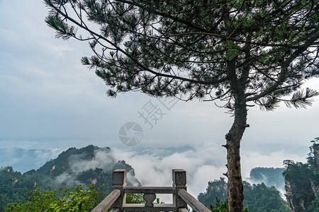 湖南省武陵源著名旅游胜地张家界公园天子山景区瞭望台石障图片