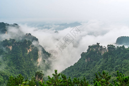 湖南省武陵源著名旅游胜地张家界公园天子山石柱全景图片