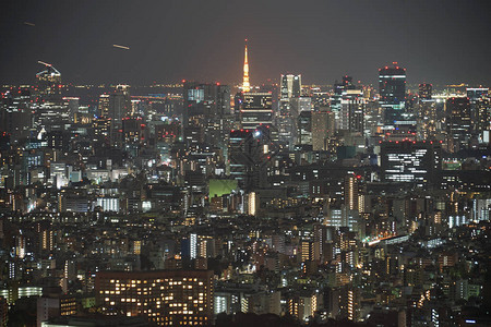 从阳光城看到的夜景图片