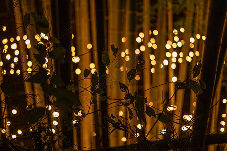 日式竹林点灯市民的小桌子城堡林背景