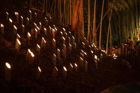 竹林点灯市民的小桌子林背景图片