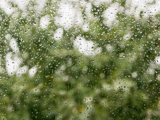 玻璃上的雨滴阴雨天气在自然模糊的背景下秋日窗上的雨滴图片