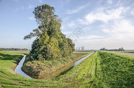 荷兰Biesbosch公园Noordwaard圩田秋季阳光明媚的一天图片