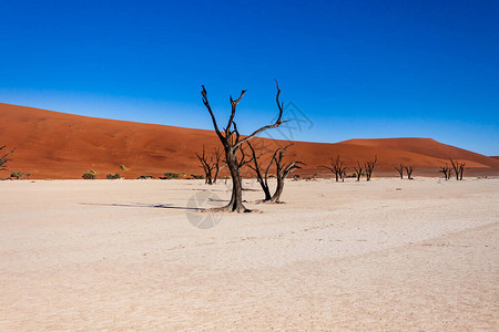 纳米比亚纳米布沙漠Soussusvle图片