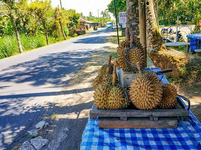 榴莲在印度尼西亚巴厘岛的一家路边商图片