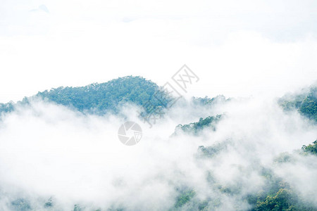 在泰国北部的一个雨天山上形成雾图片