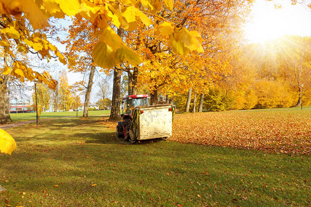 秋天公园的拖拉机拖着真空扫荡图片