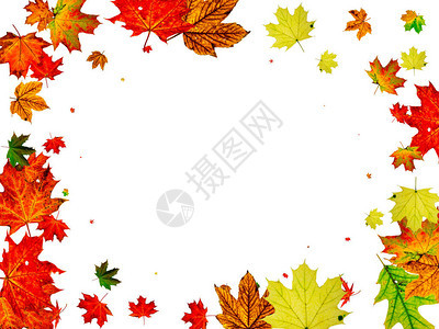 秋季节秋叶落模式孤立在白色上图片