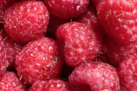 成熟的多汁果莓图片