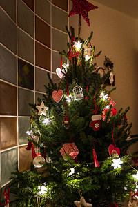 最后一棵圣诞树被点亮背景图片
