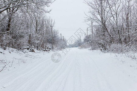 在降雪期间的多雪的农村街道图片