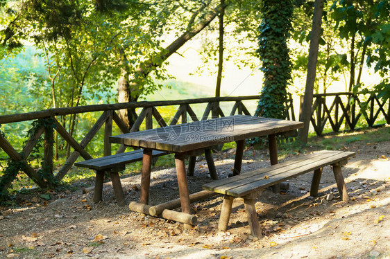 木制野餐桌森林中的野餐地点图片