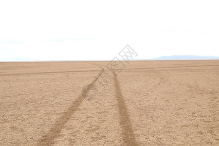 沙漠中的轮胎痕迹图片