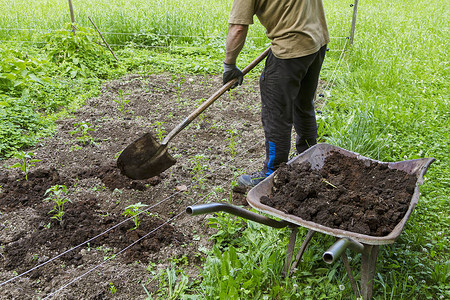 照片  |米袋农业肥料袋产品农业和从地面收获的农田到当照片  |植种和