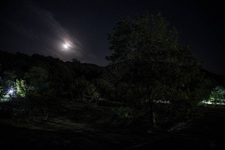 农村夜晚满月之夜穿过森林的山路背景