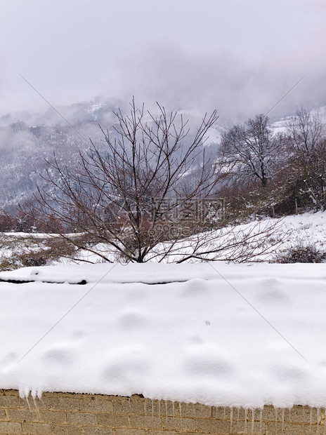 冬季雾的风景下雪覆图片