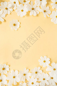 最小风格的概念淡黄色背景上的白色雏菊洋甘菊花创意生活方式图片