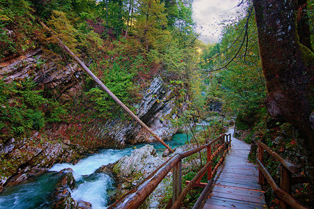 Vintgar峡谷布莱德峡谷与Radovna河风景如画的景色小径穿过峡谷和木桥斯洛文尼亚著名的旅游胜地图片