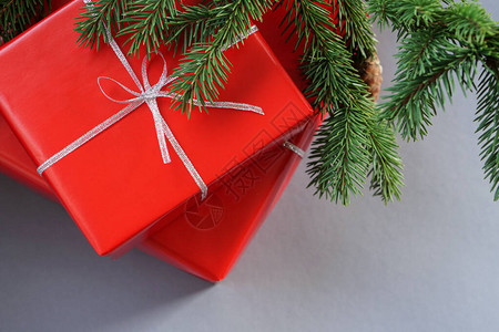 带有银丝带的圣诞红礼盒和在绿色天然fi图片