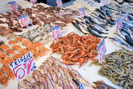 供意大利那不勒斯市场销售的红鱼鲑鱼和其图片