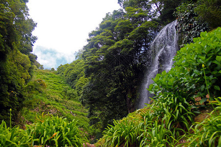亚速尔群岛绿色自然中令人印象深刻的瀑布图片