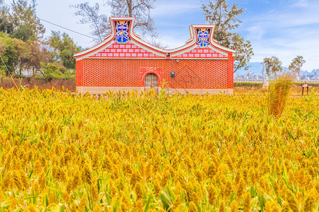 与传统寺庙的泰万族图片