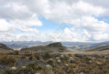 SumapazParamo在波哥特附近的风景哥伦比亚图片