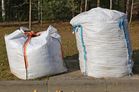 用于木材中树枝和树叶的大塑料袋根据欧洲法律在树林或花园中燃烧垃圾罚款图片