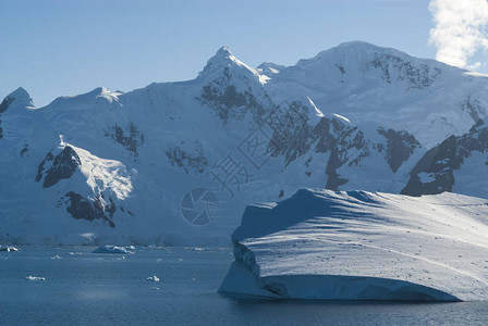 南极洲内科港的南极景观图片