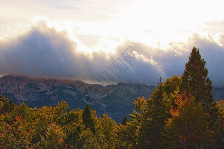 山秋季景观与五颜六色的森林和充满活力的天空与雷云戏剧场景观和自然的概念斯洛文尼亚沃图片