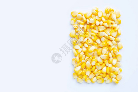 白色背景的新鲜玉米种子图片