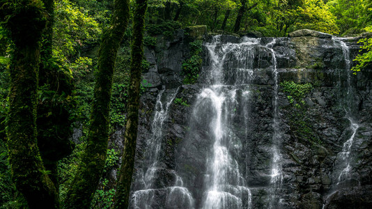 山区的自然美景瀑布风光热带雨林美丽的自然景观满月园森林中图片