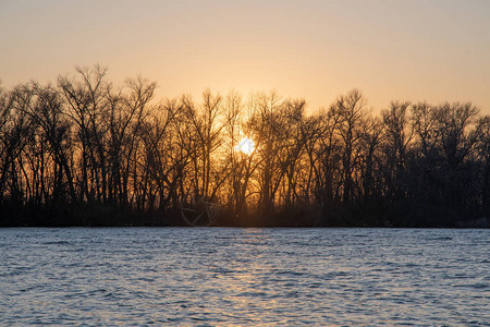 风景河边的树后面日落图片