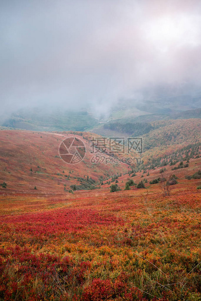 Borzhava山脉位于金色的秋雾风景中图片