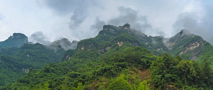 清晨雾中天门山著名的神圣天门大山的全景图片