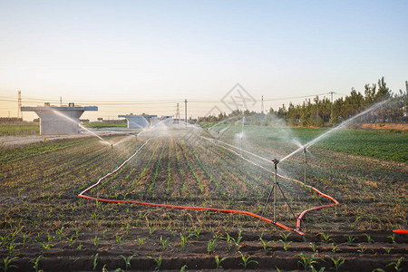 灌溉农田的节水设备图片
