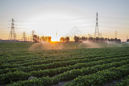 灌溉农田的节水设备图片