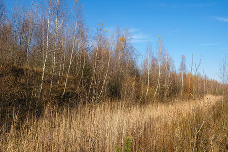 路途遥远秋天在乌克兰的自然公园图片