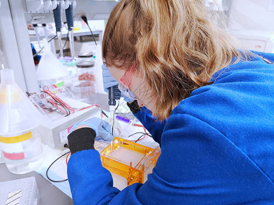 年轻女研究人员将放大的DNA样本PCR装到带管子的agar图片