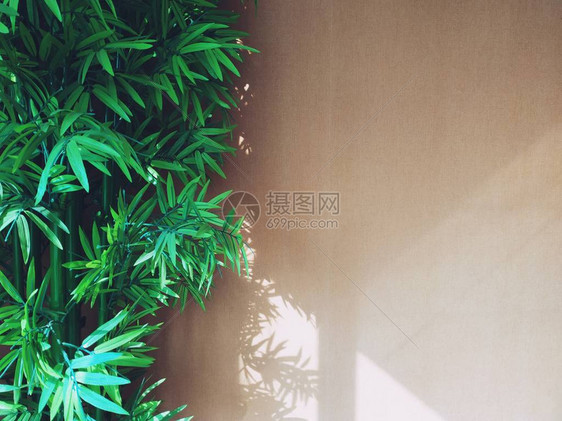 棕墙内有竹制植物天然室内设计概念背图片