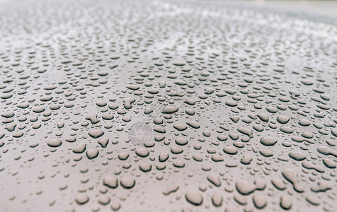 大雨后多滴水清洁车漆表面的极端宏观特写和防露水表图片
