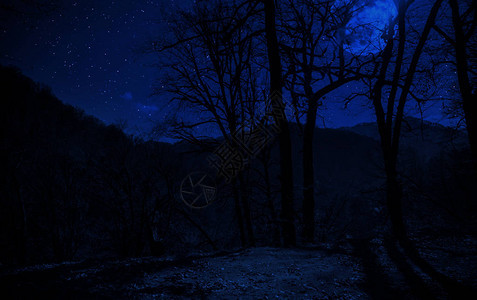 满月之夜穿过森林的山地路图片