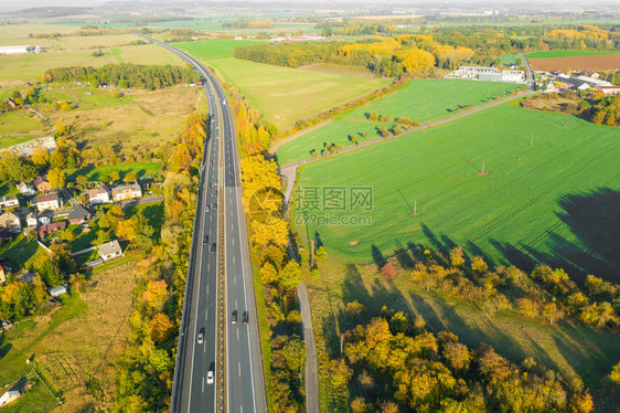 秋季森林与耕地之间的公路图片